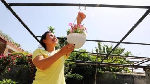 從「小白」到「網紅」河北農家女讓農家小院變「夢中花園」