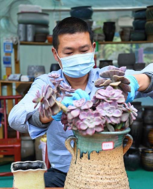 張大哥養肉10多年，總結出4個「耐熱品種」，肉迷都喜歡