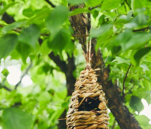 日本主婦的庭院生活：有一方小院，承載著四季花開