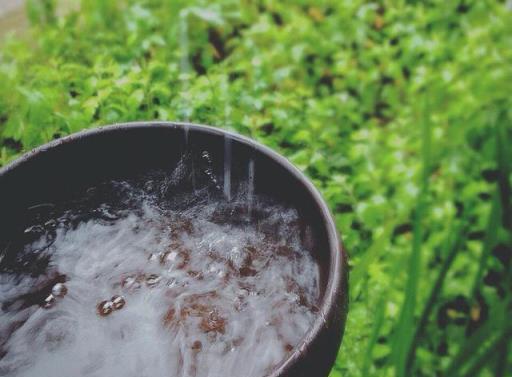 夏天裡這5種花，愛喝水是大水桶，每天澆水才能枝葉翠綠長勢旺