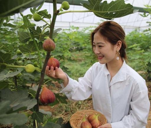 秋天扦插正當時，這「18種花」不用出錢買，折根枝子回來就能種