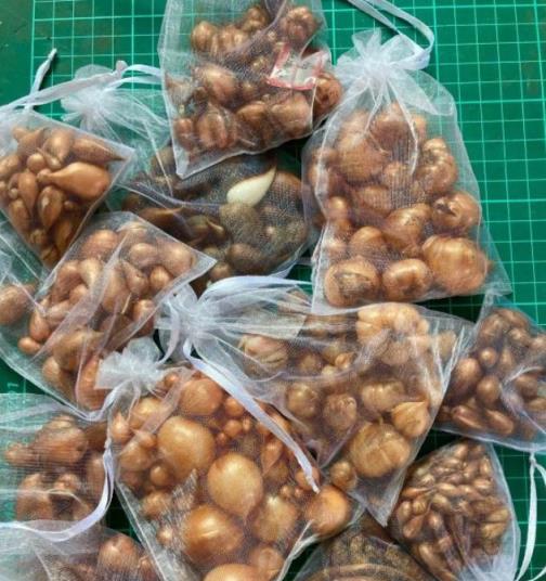 6種耐寒花卉，秋季播種指南，年年花開不間斷，經濟又易養