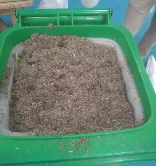 秋日花園，發掘超越等待的生機與活動