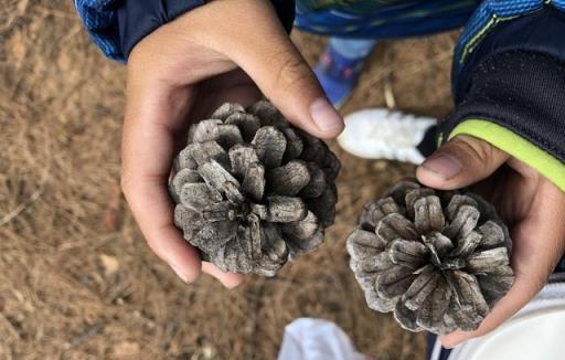 養花要學會「廢物利用」，運用5種「廢物」，養花卻能養得更好