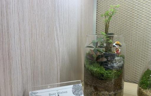 這也太治癒了！想要擁有一座專屬自己的小花園？可以這樣做