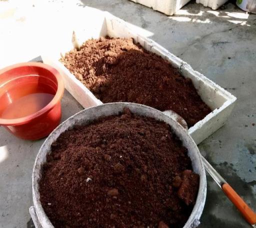 養花的「舊土」加點「廢物」，又肥的流油，養花一級棒