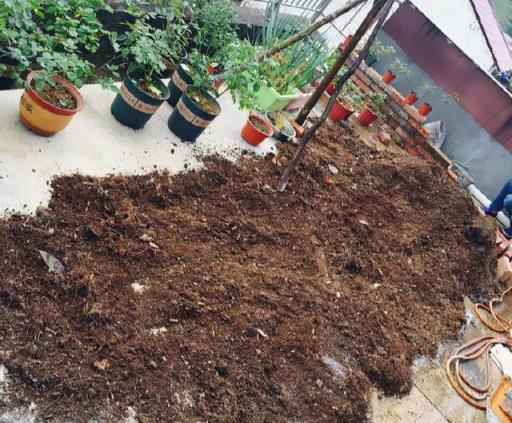 養花的「舊土」加點「廢物」，又肥的流油，養花一級棒