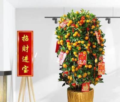 新年，貧富都要有「六種吉祥果」「六種吉祥花」，虎年虎虎生威