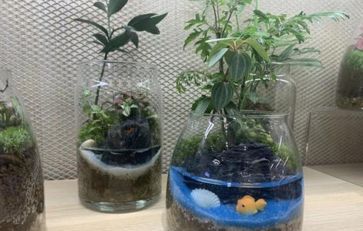 這也太治癒了！想要擁有一座專屬自己的小花園？可以這樣做