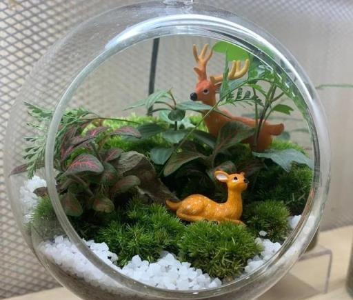 這也太治癒了！想要擁有一座專屬自己的小花園？可以這樣做