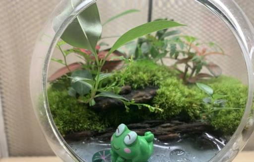 這也太治癒了！想要擁有一座專屬自己的小花園？可以這樣做