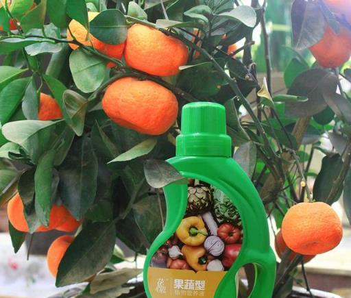 花肥別亂買，養花澆點「花多多」，葉子肥綠，開花多，比啥都好用