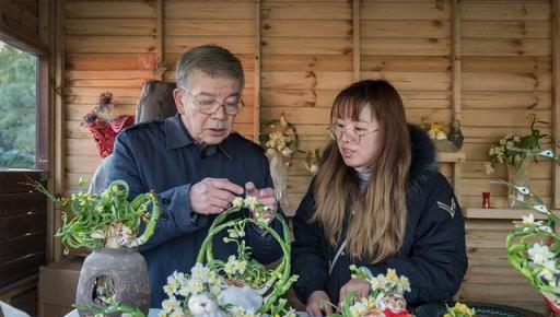 虎尾蘭、虎刺梅、星虎斑木……年宵花展在滬上公園限時展出