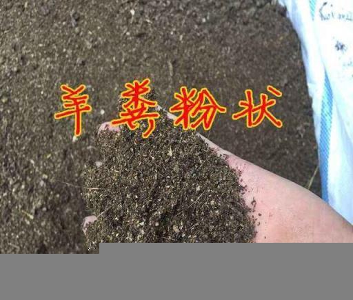 3月要來了，花盆裡加「3種肥」，植物根系壯、枝葉茂，長勢特別好