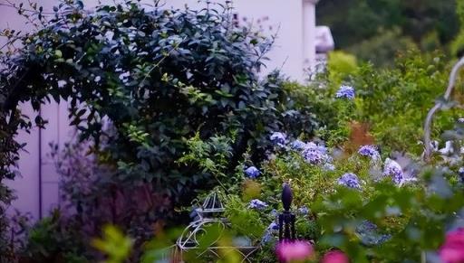 荒蕪到繁花，她用3年光陰，打造廢棄露臺的美麗花園