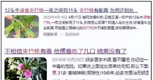 再喜歡,「奪命花草」也別再往家搬了,出事就晚了
