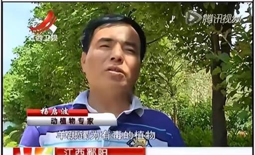 再喜歡,「奪命花草」也別再往家搬了,出事就晚了