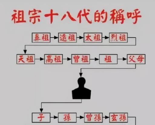 「客廳養樹，十有九富」！老祖宗留下的「規矩」，說的太有道理了