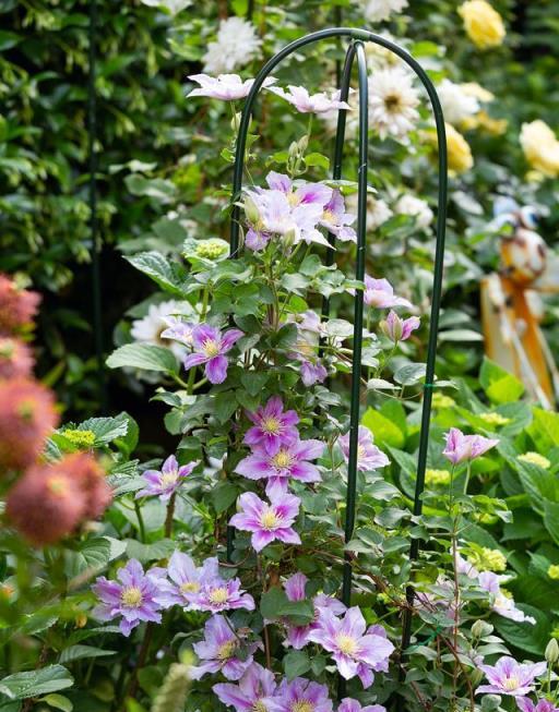 想要打造高階的「庭院花園」，5類花草6種小物件，都要安排上