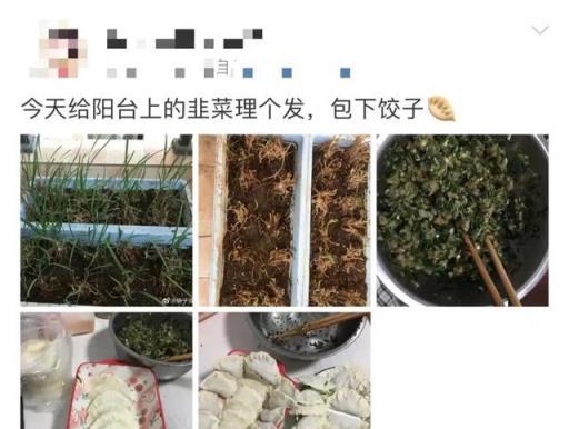 有一半的陽臺被改造成菜園子，陽臺種菜成為當下時尚