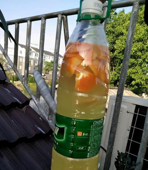 5個實用養花「小妙招」，對新手養花不僅幫助大，而且還「省錢」