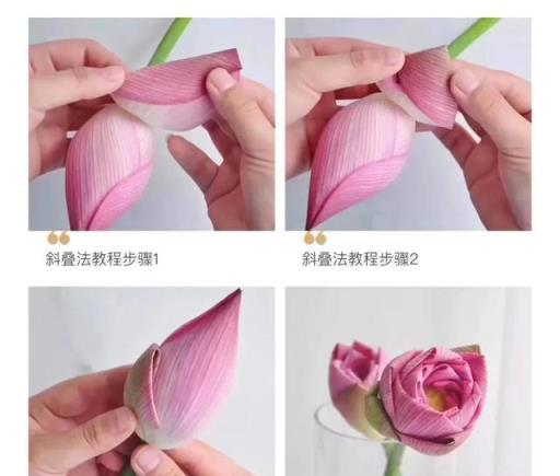 鮮切荷花好看不好養?5個神仙技巧+7種仙氣疊法,美上天