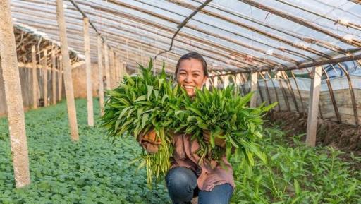 蔬菜產量低？老農教你發酵液體肥，7天就可使用，無臭味、不燒根