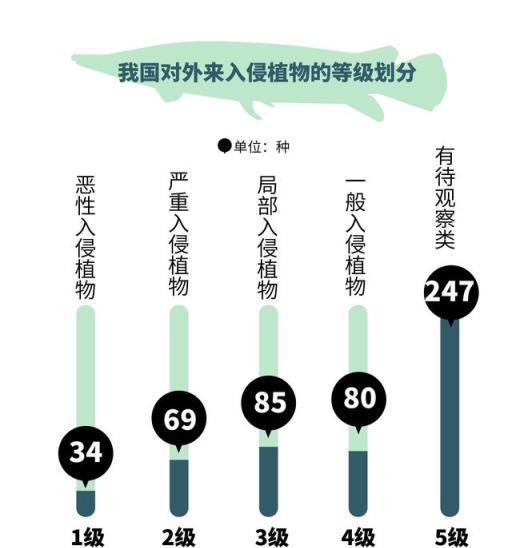 鱷雀鱔是什麼，能吃嗎？除了它，我國還有哪些外來有害物種？