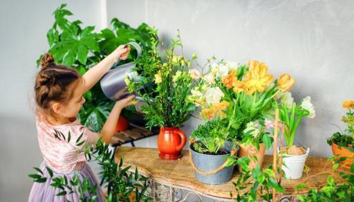 霜降後養上6種「吉祥花」，養護得當就能猛開花，可別錯過了