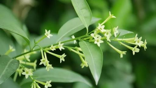 這「10種花」再美，也別養在家裡，要麼有毒要麼有刺，對健康不利