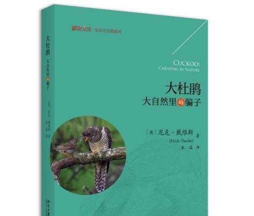 聞名世界的「報春鳥」大杜鵑是如何「行騙」的？