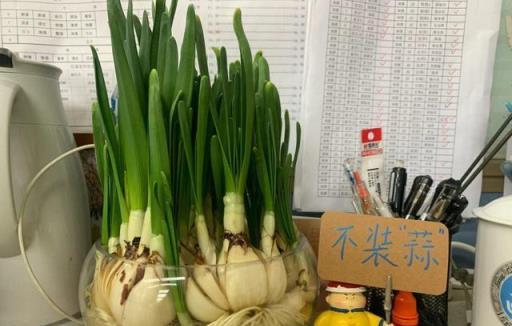 俗話說：家有六花，害人敗家！6種花不能留，你家若有，早處理