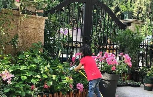 老兩口退休回老家養老，養花種菜，住了3年，後悔不已