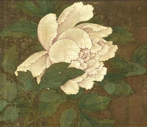 古代花卉在文學藝術中的象徵與美學探究-imomo植物識別