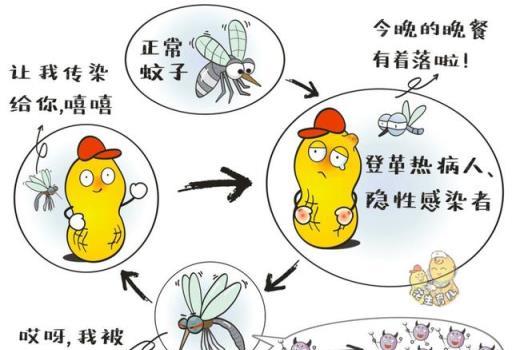 專家在廣州放飛幾百萬只蚊子，說是「以蚊制蚊」，真的會有效果？