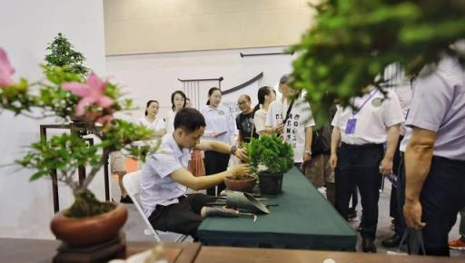 盆景愛好者有福了！這本書帶你快速入門蘇派盆景技藝