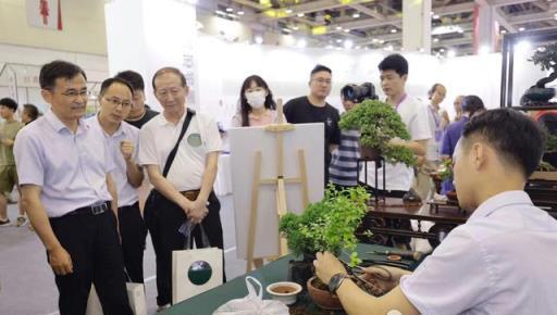 盆景愛好者有福了！這本書帶你快速入門蘇派盆景技藝