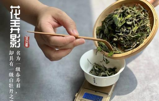 今日小暑，你還在亂喝茶？水果茶、鮮花茶、冷泡茶哪個適合夏天？