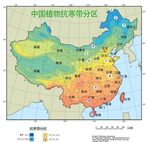 橙色、黃色、綠色、紅色，這種植物竟然有4種變換的葉色