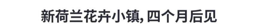 深圳的「花世界」，平價又浪漫