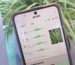 你養的花木缺啥營養，手機一看就知道 「花木+智慧」讓養花不再愁