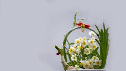 「陽臺有4花，家窮難致富」，陽臺上不要養這4種花，對家裡沒好處