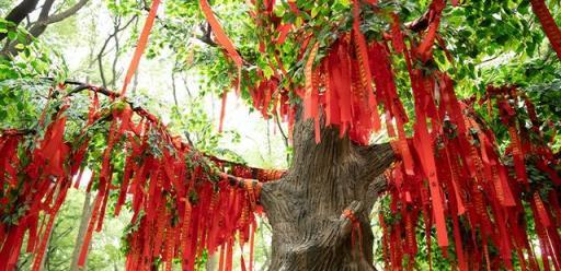 8種「鎮宅花」，客廳一放，霸氣鎮宅，養百年「金不換」