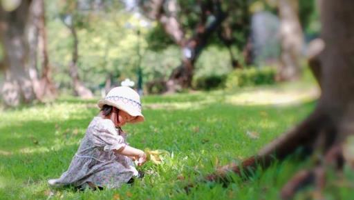 「門內有3樹，子孫代代富」，是哪三種樹？看看你家院裡有沒有種