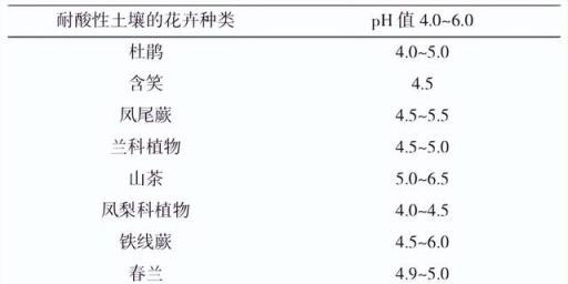 學會這些培養土配製技巧，讓你的盆栽花卉更美麗