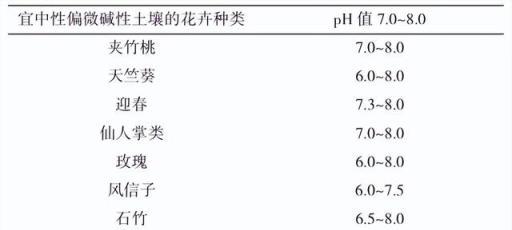 學會這些培養土配製技巧，讓你的盆栽花卉更美麗