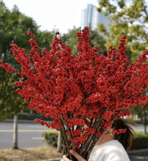 這3種花「養小不養老」，越大越衰，該扔就扔「別心軟」！