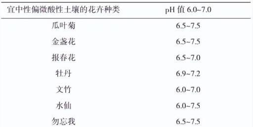 學會這些培養土配製技巧，讓你的盆栽花卉更美麗