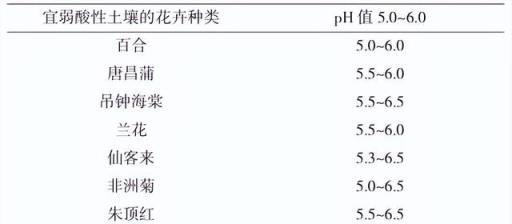 學會這些培養土配製技巧，讓你的盆栽花卉更美麗