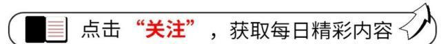 客廳養這4種樹，寓意吉祥，旺財又長壽，比發財樹更有福氣！